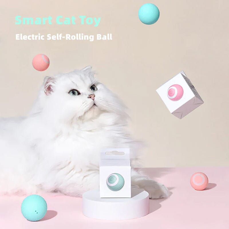 SmartPet™ Interaktive Katzen-Jagdspielzeugmatte