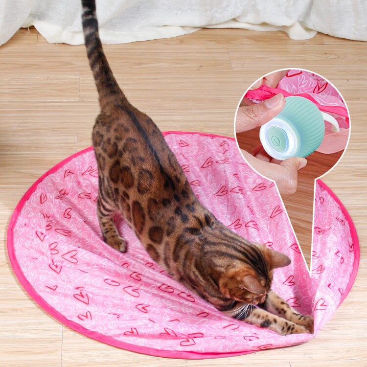 SmartPet™ Interaktive Katzen-Jagdspielzeugmatte