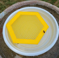 BeeBuoys™  - Schwimmende Bieneninsel
