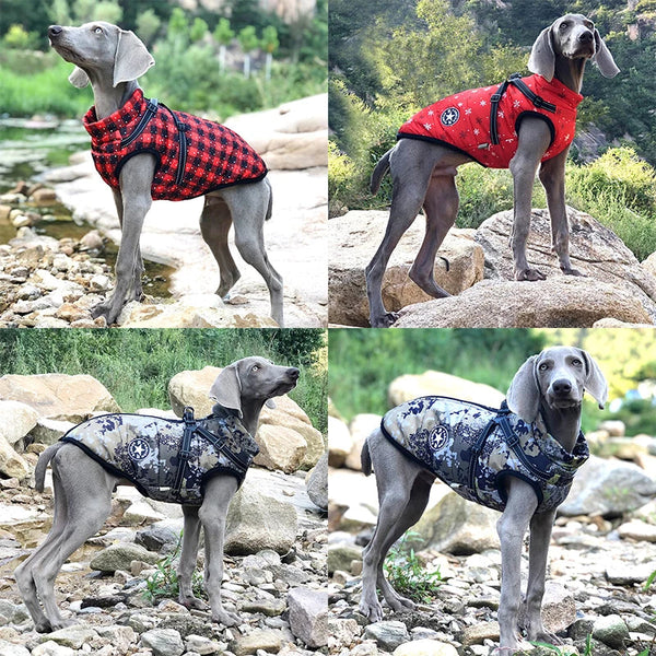 PetGo™ Wetterfeste Hundejacke und -Geschirr