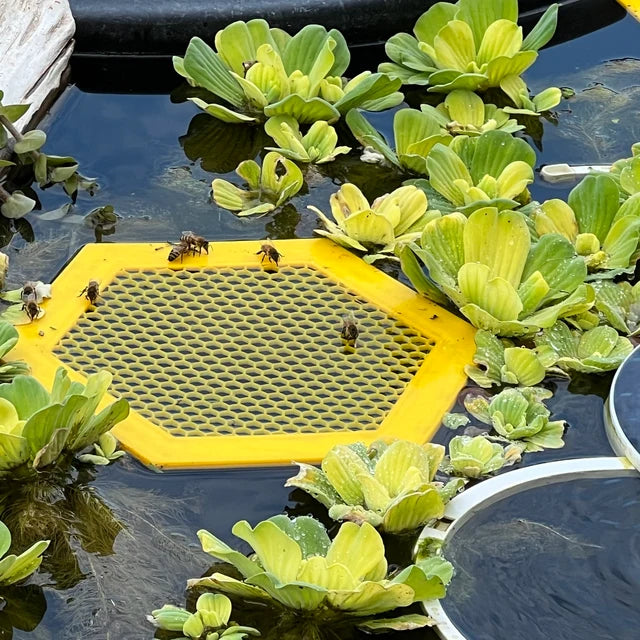 BeeBuoys™  - Schwimmende Bieneninsel